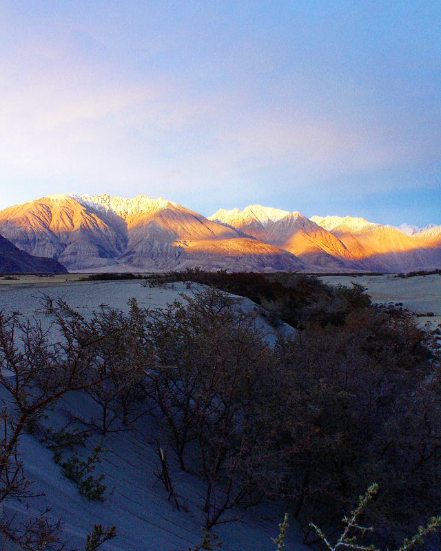 Photo of When Ladakh happened! by Kaveri Harit