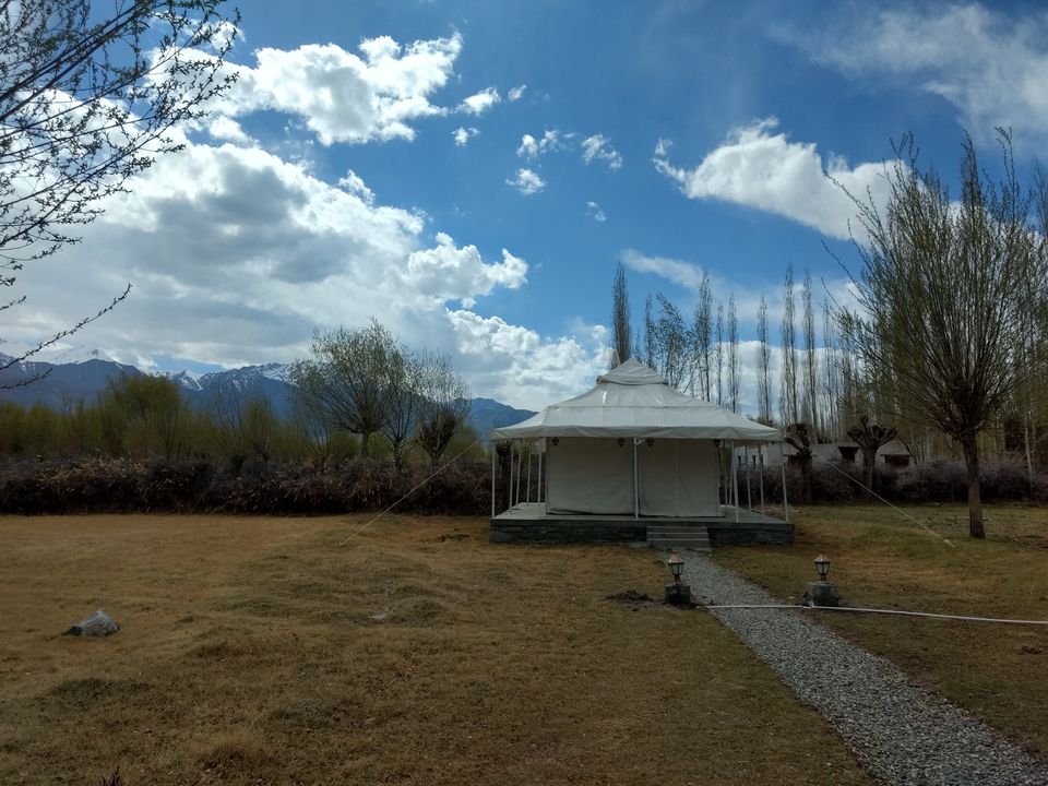 Photo of When Ladakh happened! by Kaveri Harit