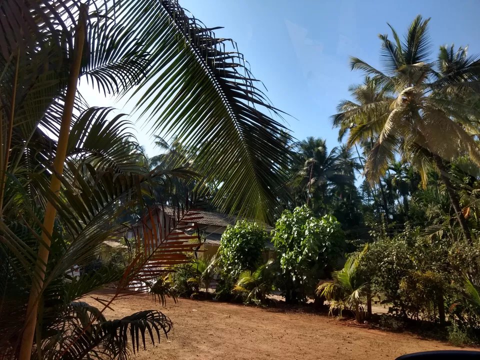 Photo of Nagaon, Maharashtra, India by Kaveri Harit