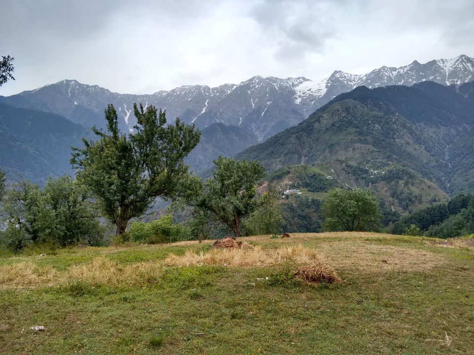 Photo of Let's drive to McLeod Ganj, Dharamshala by Kaveri Harit
