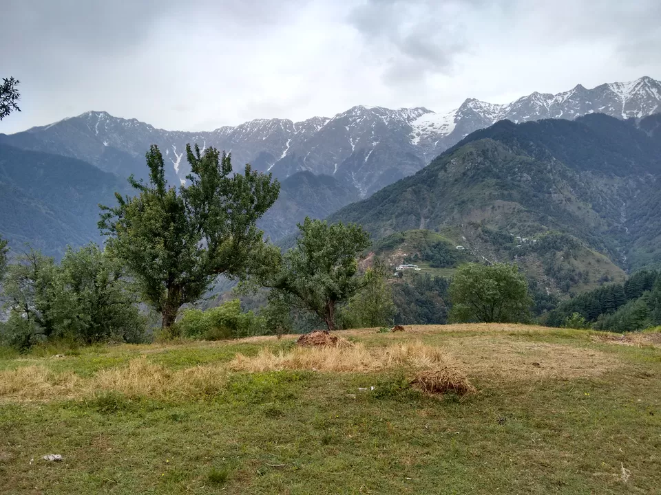 Photo of Let's drive to McLeod Ganj, Dharamshala by Kaveri Harit