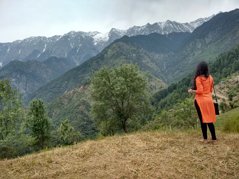 Photo of Let's drive to McLeod Ganj, Dharamshala by Kaveri Harit