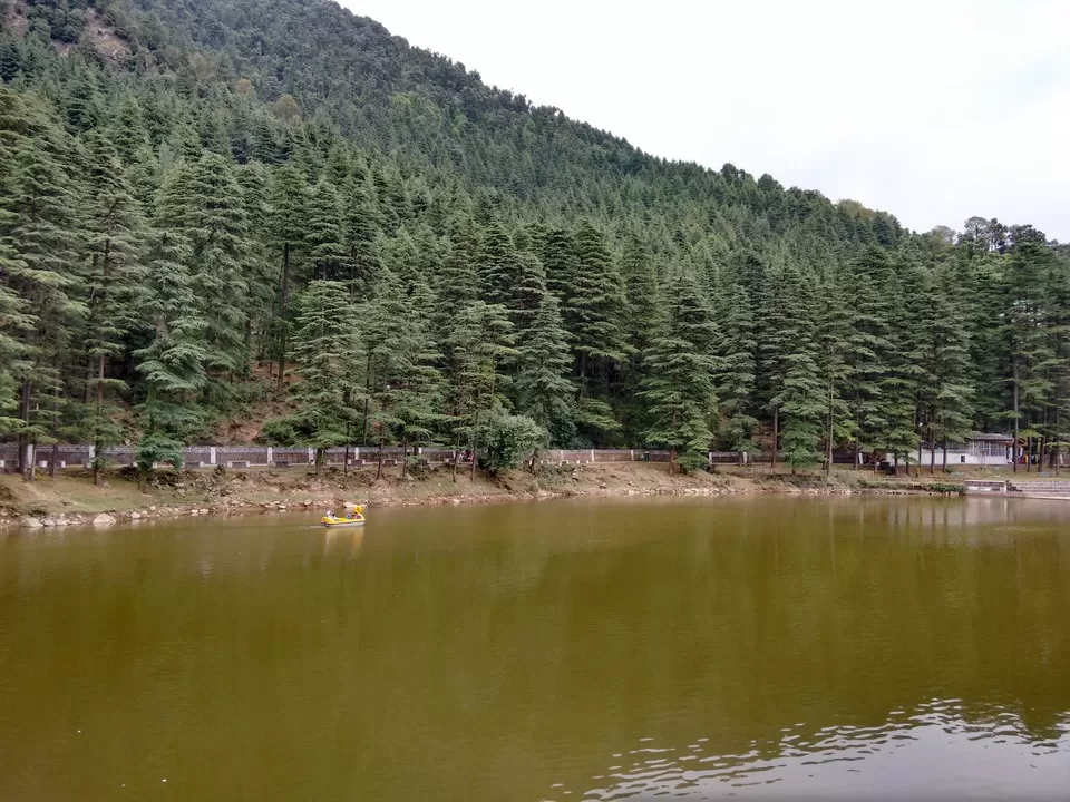 Photo of Dal Lake-Mcleod Ganj, Forsyth Ganj, Jangal Reserve Banoi, Himachal Pradesh, India by Kaveri Harit