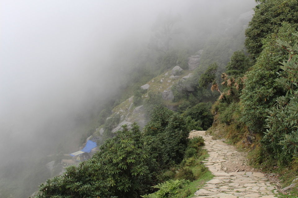 Photo of Triund, Kangra, Himachal Pradesh, India by Kaveri Harit