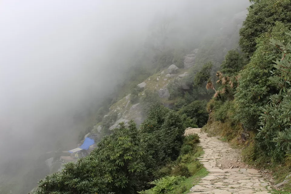 Photo of Triund, Kangra, Himachal Pradesh, India by Kaveri Harit