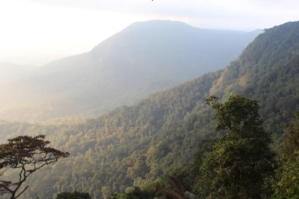 Photo of Agumbe Reserve Forest, Agumbe, Karnataka, India by Akanksha Jaiswal
