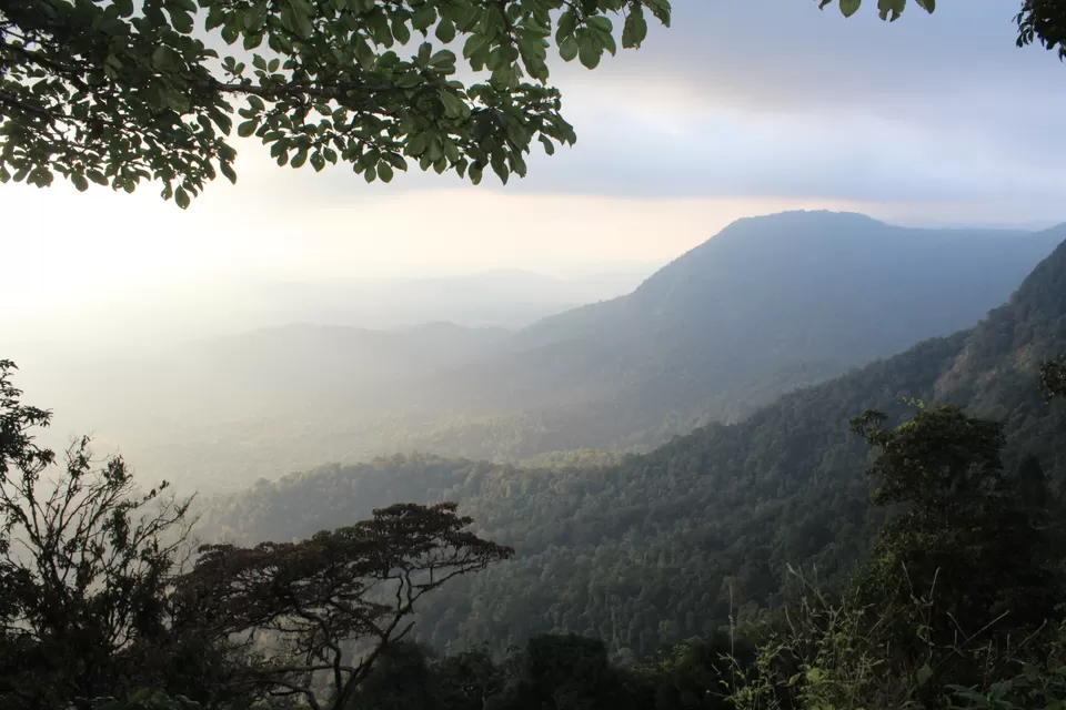 Photo of Agumbe Reserve Forest, Agumbe, Karnataka, India by Akanksha Jaiswal