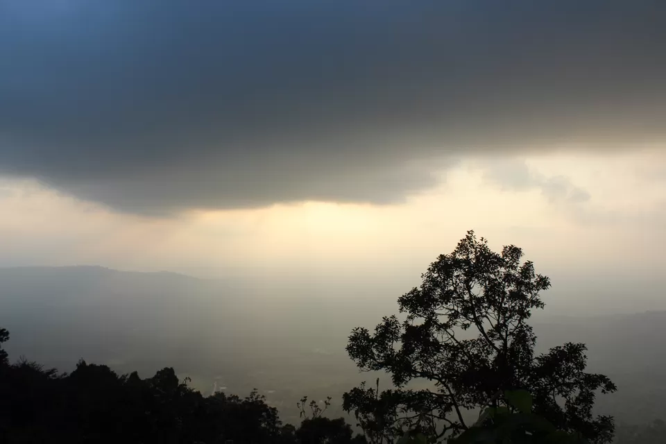 Photo of Agumbe Reserve Forest, Agumbe, Karnataka, India by Akanksha Jaiswal