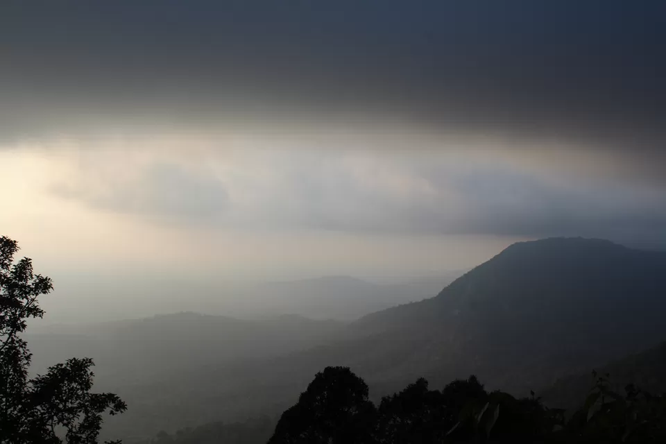 Photo of Agumbe Reserve Forest, Agumbe, Karnataka, India by Akanksha Jaiswal