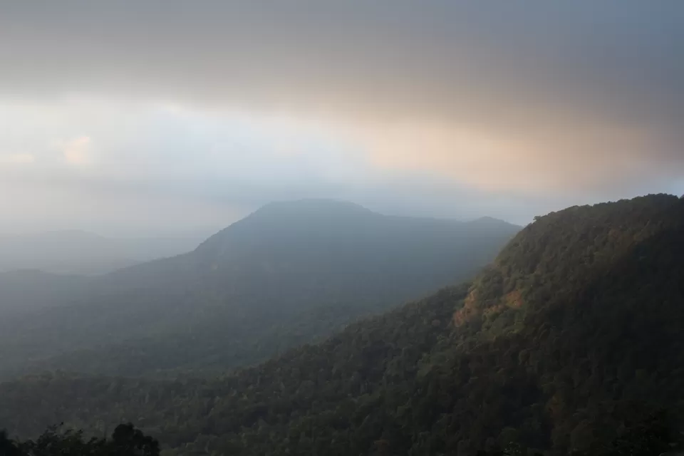 Photo of Agumbe Reserve Forest, Agumbe, Karnataka, India by Akanksha Jaiswal