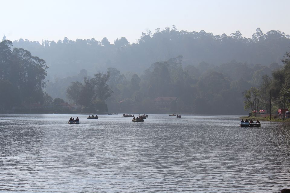 Photo of Kodaikanal, Tamil Nadu, India by Akanksha Jaiswal