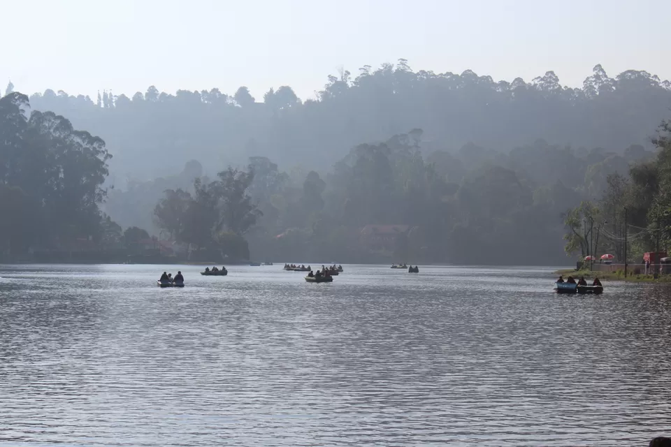 Photo of Kodaikanal, Tamil Nadu, India by Akanksha Jaiswal