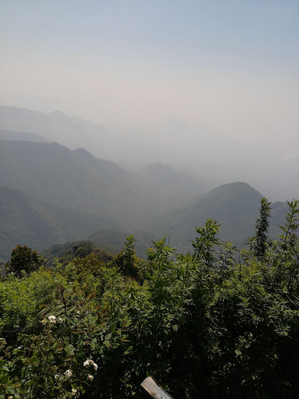 Photo of In The Paradise of Mist-Kodaikanal by Akanksha Jaiswal