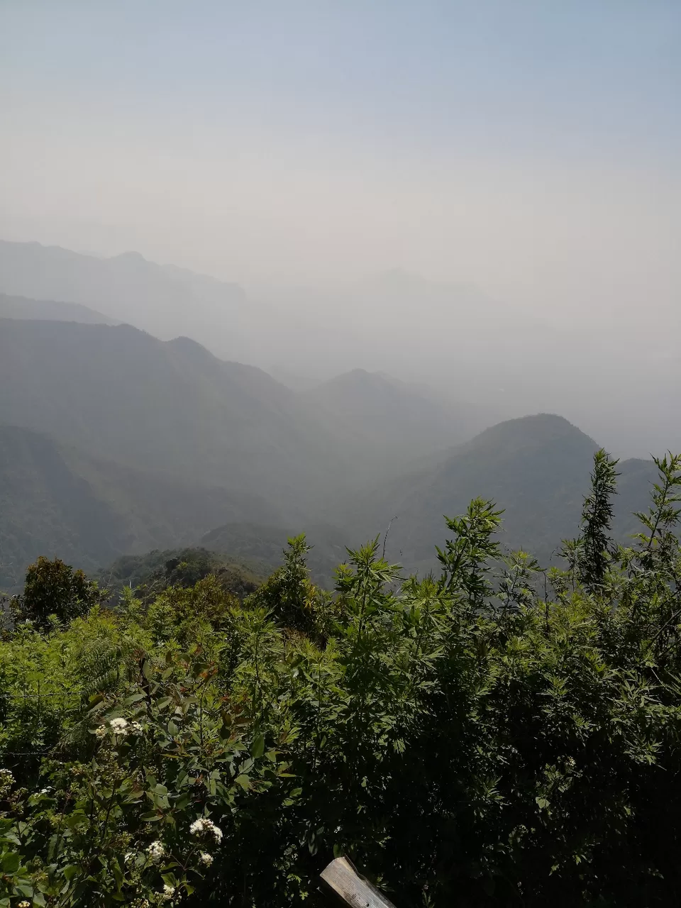 Photo of In The Paradise of Mist-Kodaikanal by Akanksha Jaiswal