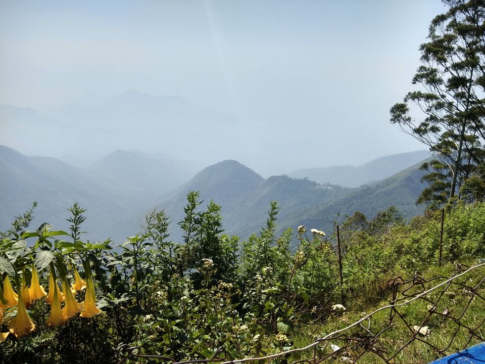 Photo of In The Paradise of Mist-Kodaikanal by Akanksha Jaiswal