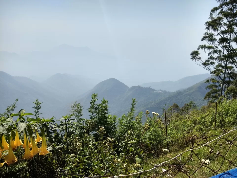 Photo of In The Paradise of Mist-Kodaikanal by Akanksha Jaiswal