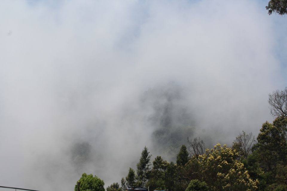 Photo of In The Paradise of Mist-Kodaikanal by Akanksha Jaiswal