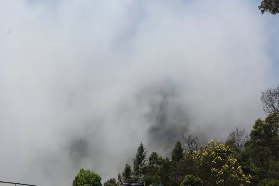 Photo of In The Paradise of Mist-Kodaikanal by Akanksha Jaiswal