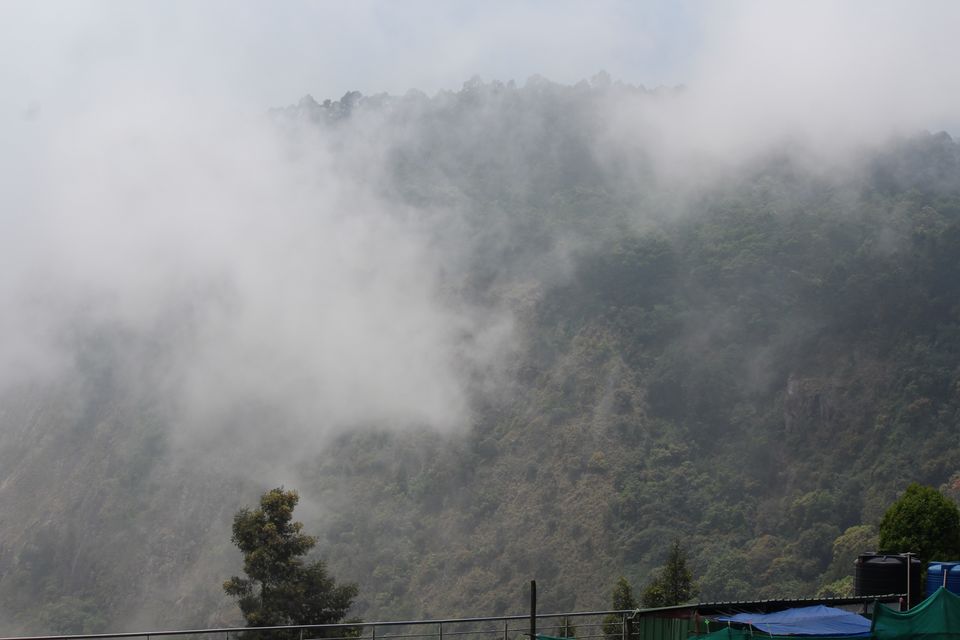 Photo of In The Paradise of Mist-Kodaikanal by Akanksha Jaiswal