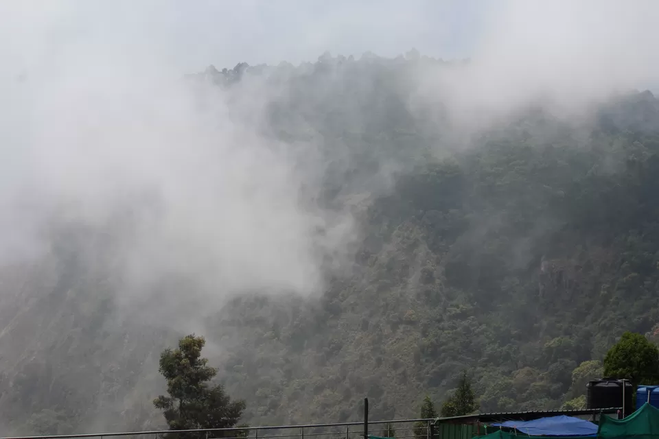 Photo of In The Paradise of Mist-Kodaikanal by Akanksha Jaiswal