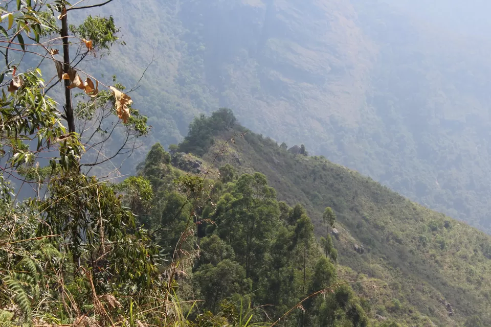 Photo of In The Paradise of Mist-Kodaikanal by Akanksha Jaiswal