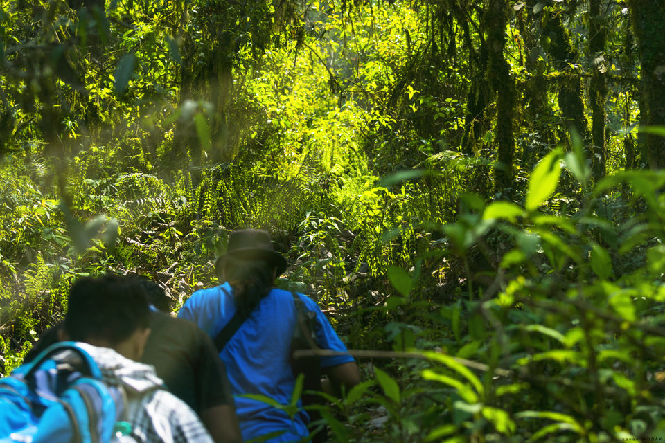 Photo of This is how to and why Maenam Top Trek should be an obvious for Trekkers opting for tougher grade. by Sayan Modak