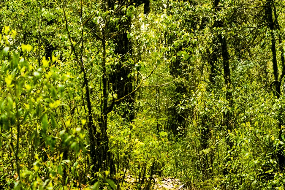 Photo of This is how to and why Maenam Top Trek should be an obvious for Trekkers opting for tougher grade. by Sayan Modak