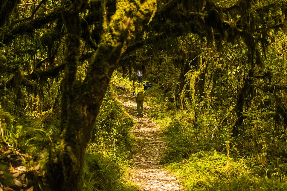 Photo of This is how to and why Maenam Top Trek should be an obvious for Trekkers opting for tougher grade. by Sayan Modak
