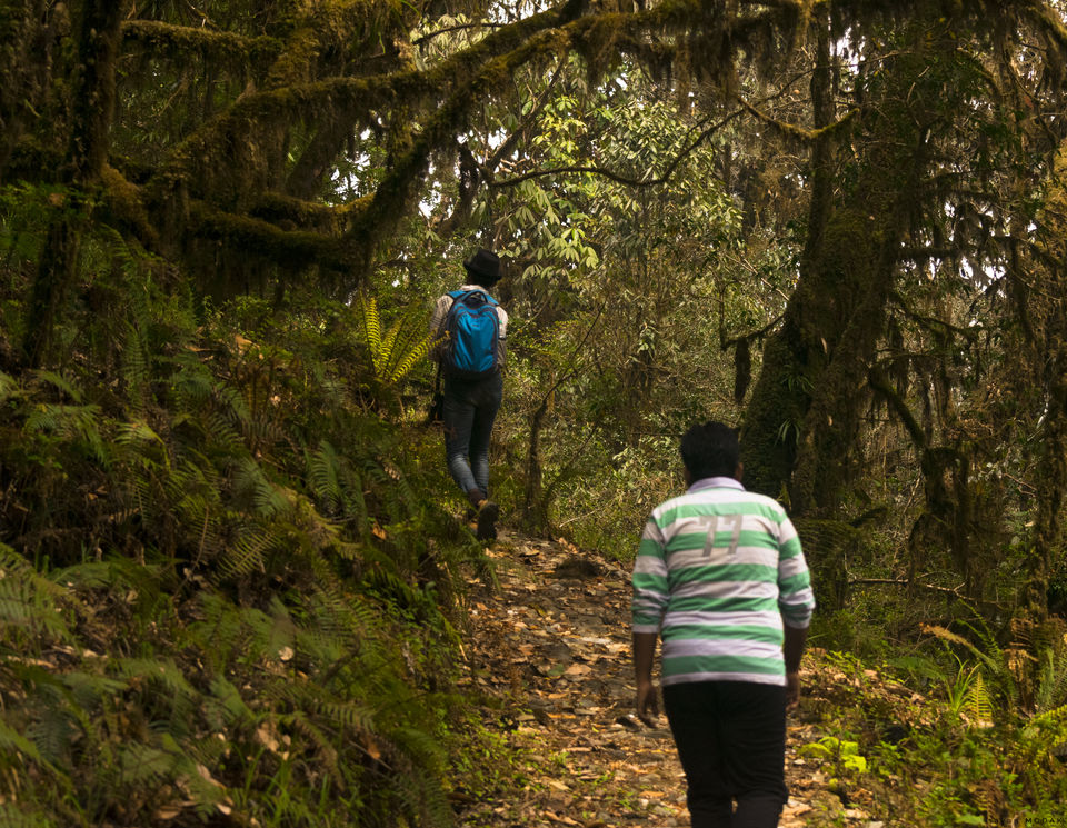 Photo of This is how to and why Maenam Top Trek should be an obvious for Trekkers opting for tougher grade. by Sayan Modak
