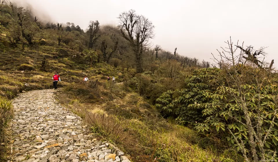 Photo of This is how to and why Maenam Top Trek should be an obvious for Trekkers opting for tougher grade. by Sayan Modak