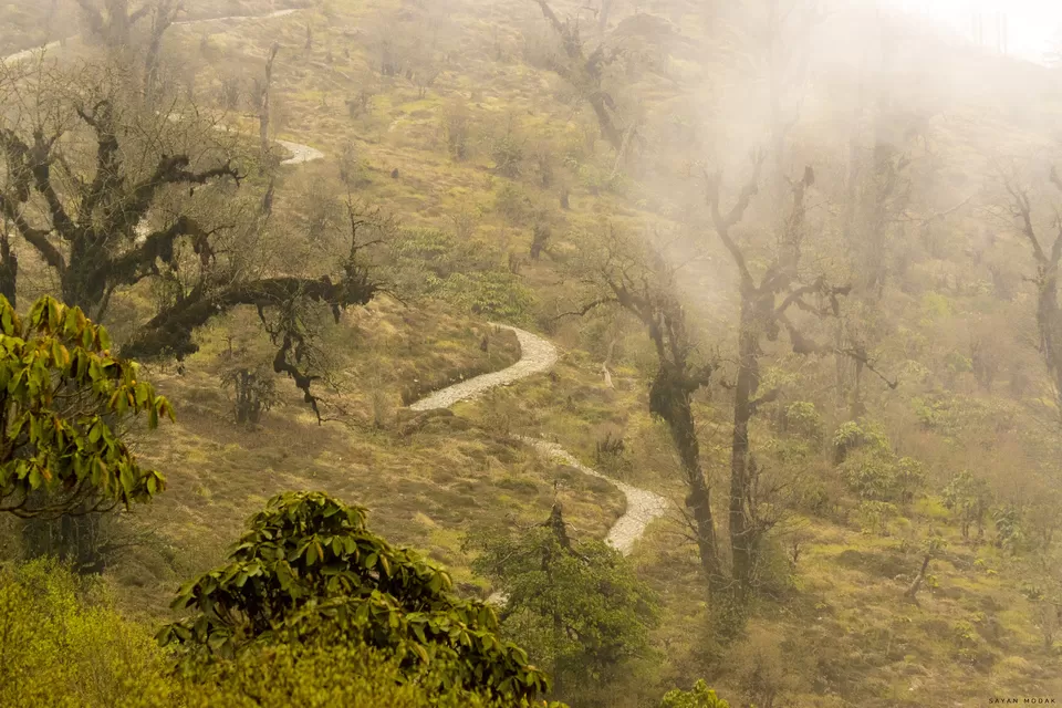 Photo of This is how to and why Maenam Top Trek should be an obvious for Trekkers opting for tougher grade. by Sayan Modak