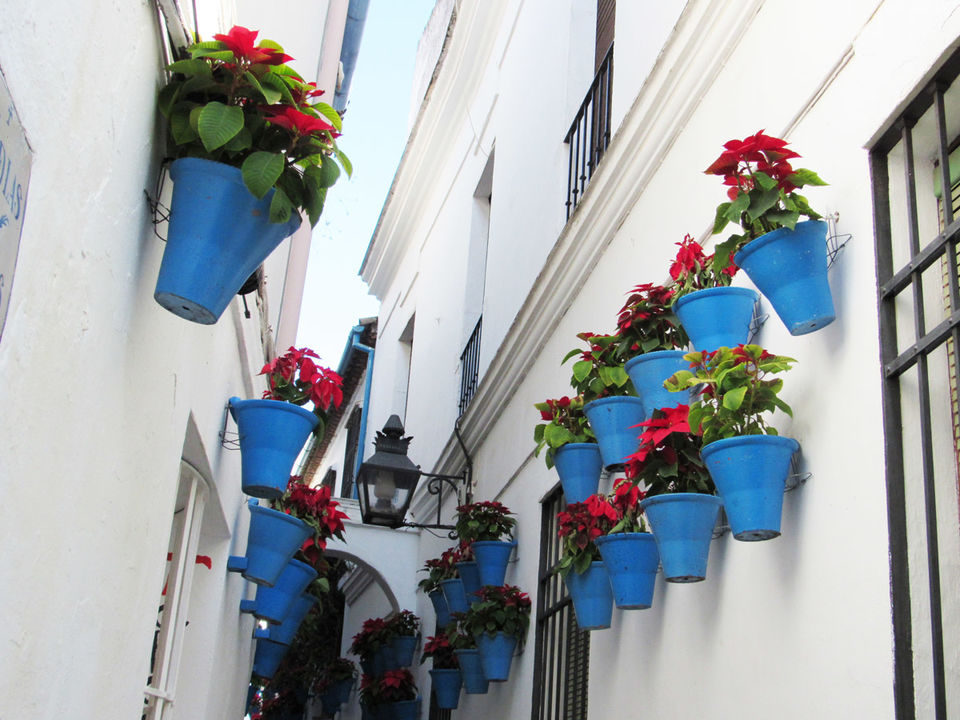 Photo of Cordova, Spagna by CLARA on the road