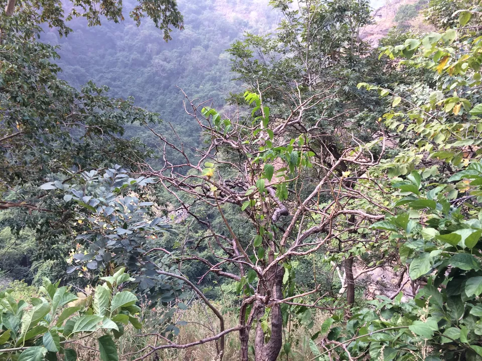 Photo of Ahobilam, Andhra Pradesh, India by SRIKANTH GEDELA