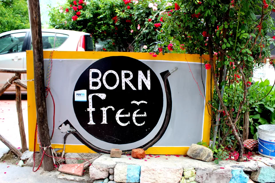 Photo of Born Free Cafe | Coworking | Hostel, Old Manali, Manali, Himachal Pradesh, India by Yashita Mahajan
