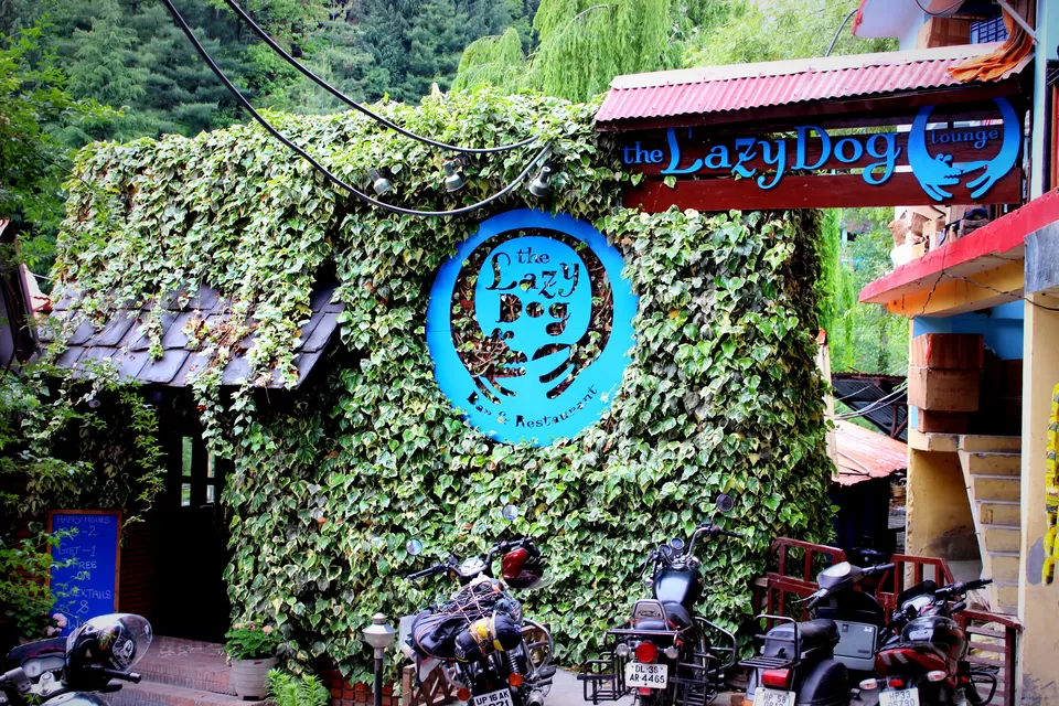Photo of The Lazy Dog Lounge, Manali, Himachal Pradesh, India by Yashita Mahajan