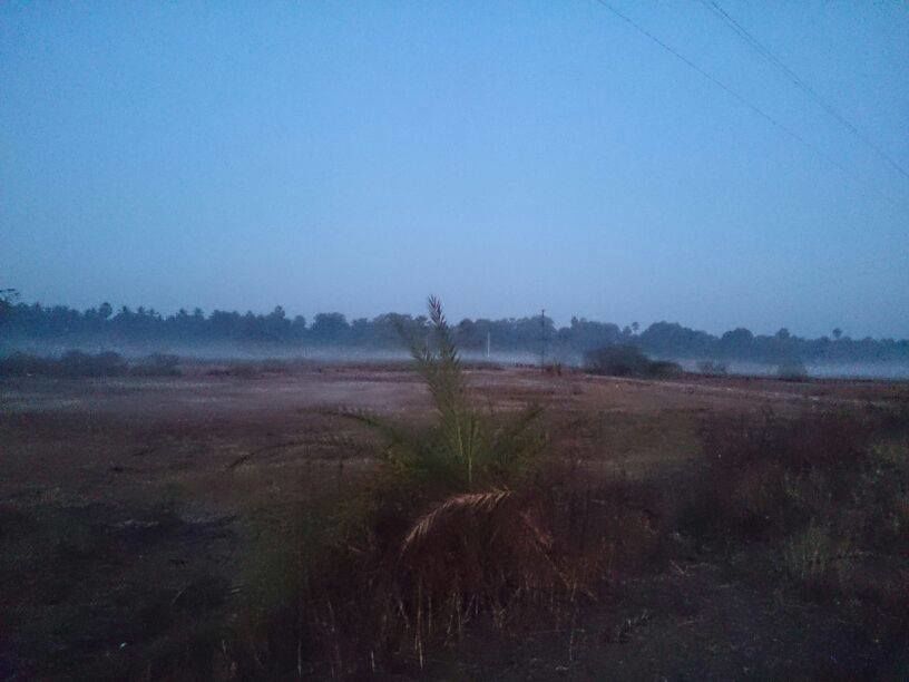 Photo of Getting Lost in Manor, Maharshtra 3/9 by Vijaylaxmi Sharma