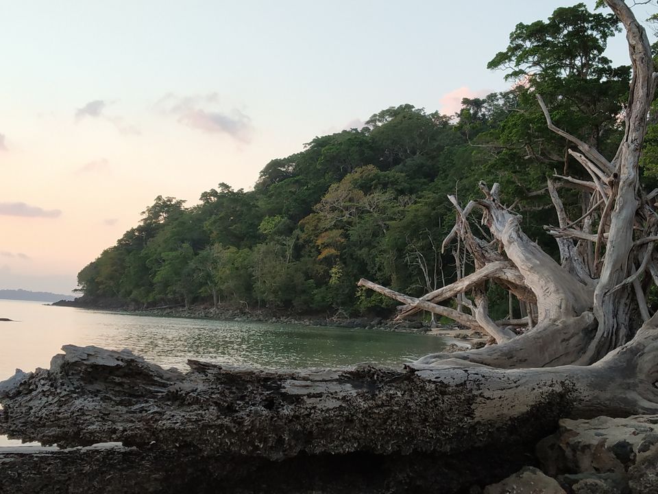 Photo of Chidiya Tapu and Munda Pahar Beach by Juhi
