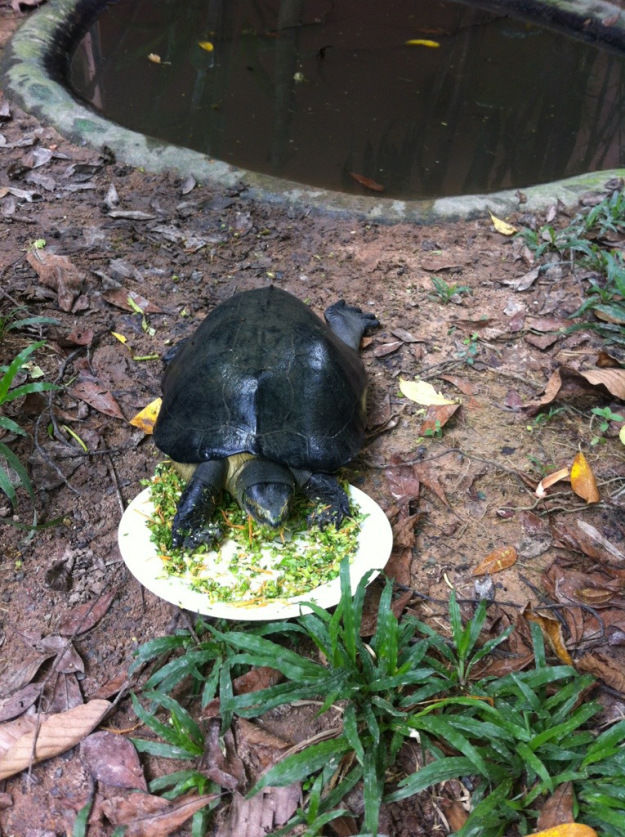 Photo of Wildlife Rescue Station, Ho Chi Minh City, Vietnam by Jane Cook