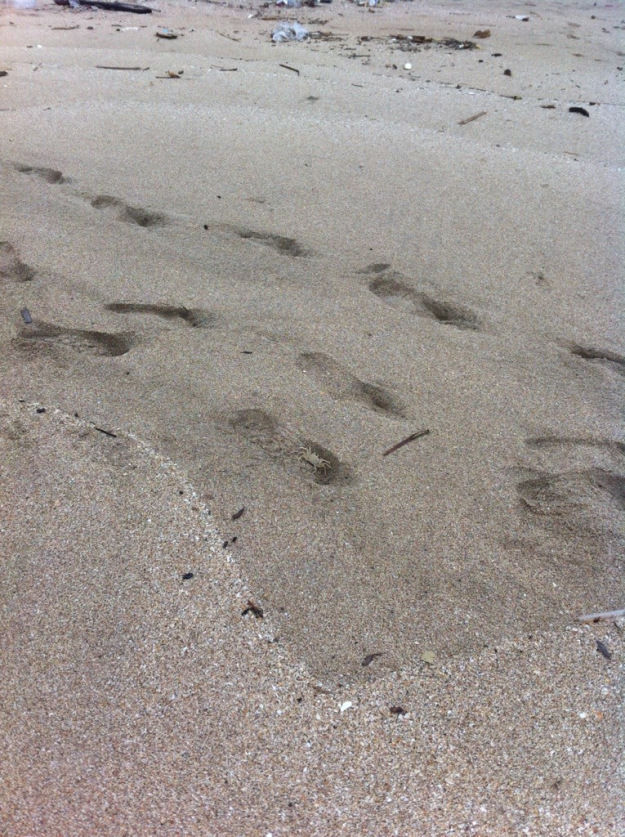 Photo of Thailand Diaries 11/25 by Jane Cook