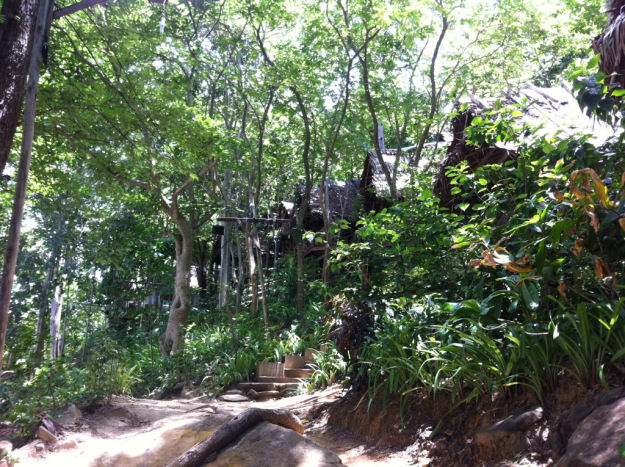 Photo of Thailand Diaries 20/25 by Jane Cook