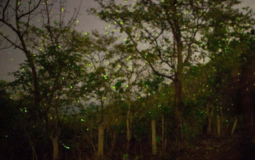 Photo of Panvel, Navi Mumbai, Maharashtra, India by Abhijit