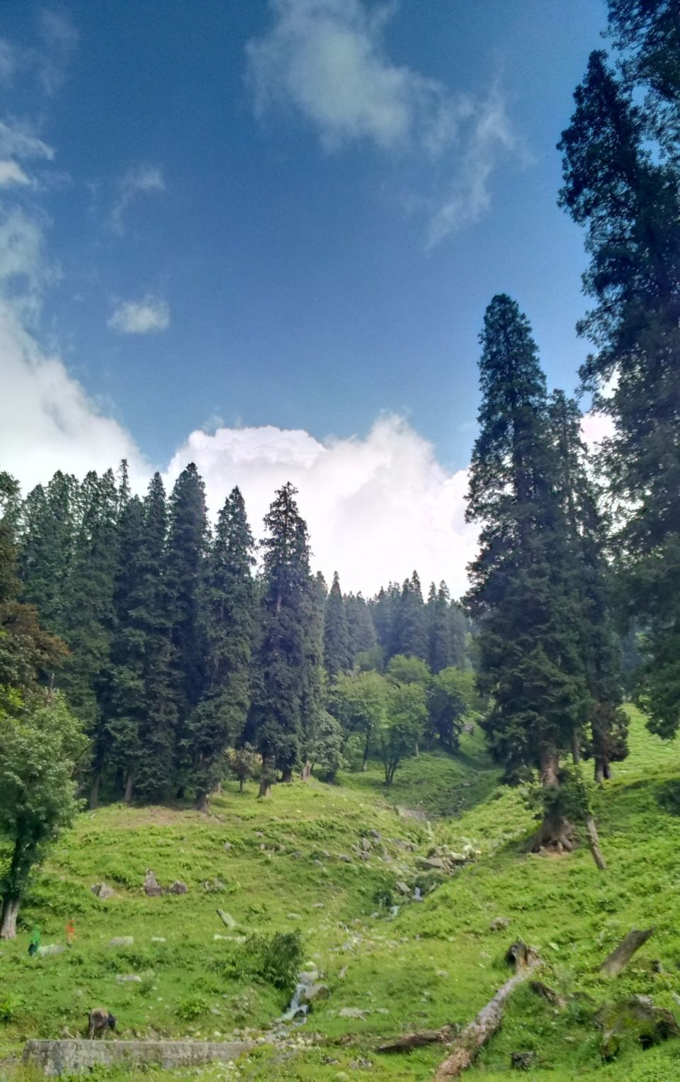Photo of Why the Hampta Pass should be your first Himalayan trek by Abhijit