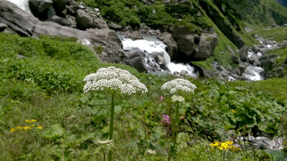 Photo of Why the Hampta Pass should be your first Himalayan trek by Abhijit