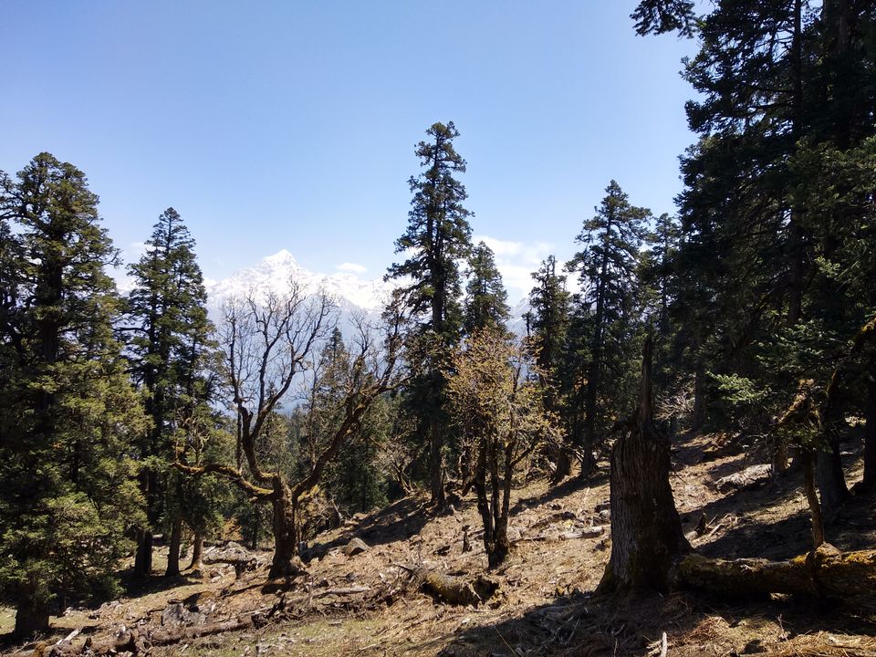 Photo of Joshimath, Uttarakhand, India by Abhijit
