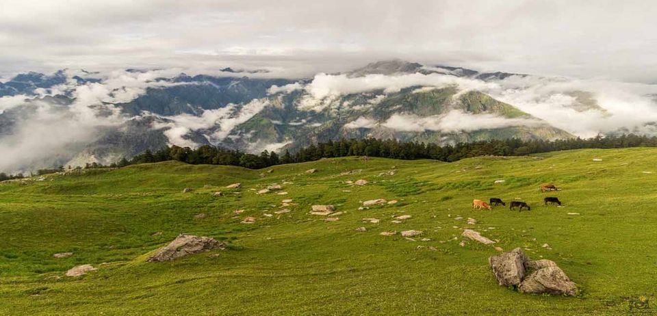 Photo of Auli Laga Joshimath, Uttarakhand, India by Abhijit