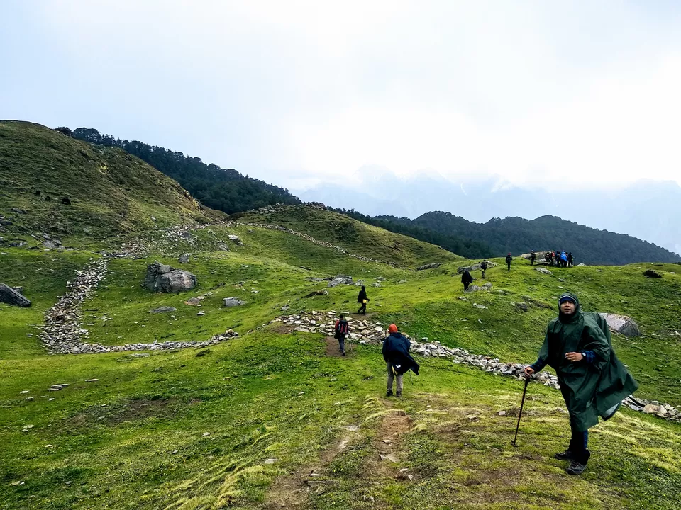 Photo of Gorson Bugyal, Auli Laga Salude, Uttarakhand, India by Abhijit