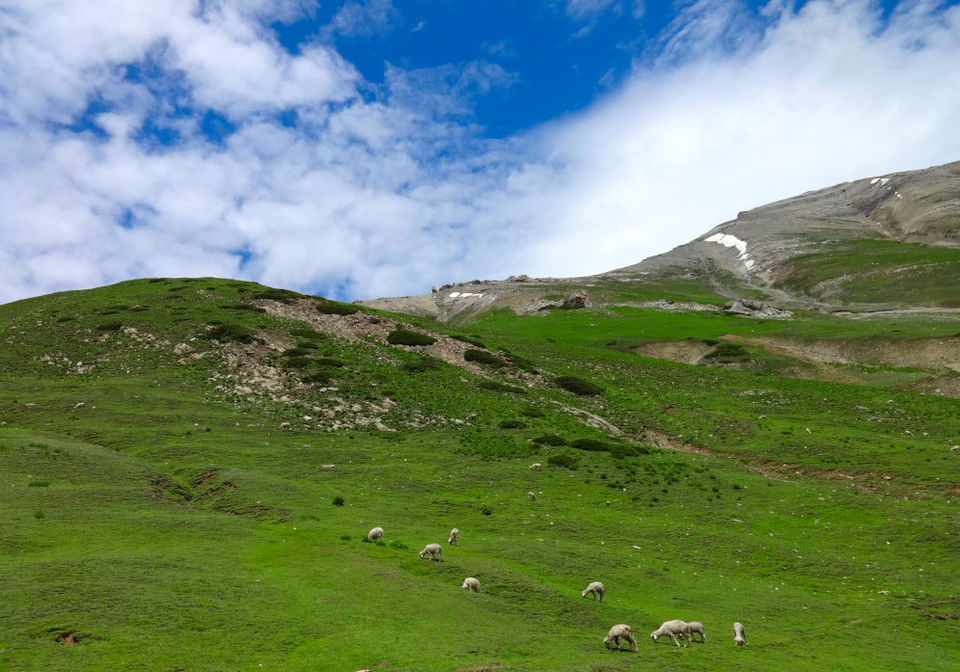 Photo of When I ditched the beaten path to explore the heart of Kashmir ‘on foot’ #kashmirinphotos by Diana Banik