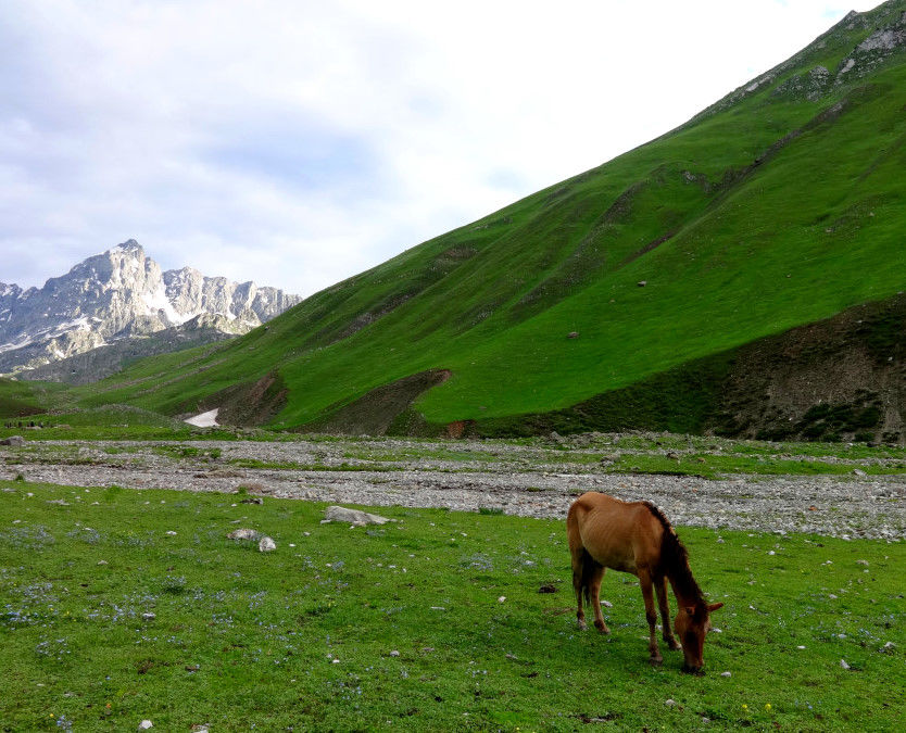 Photo of When I ditched the beaten path to explore the heart of Kashmir ‘on foot’ #kashmirinphotos by Diana Banik