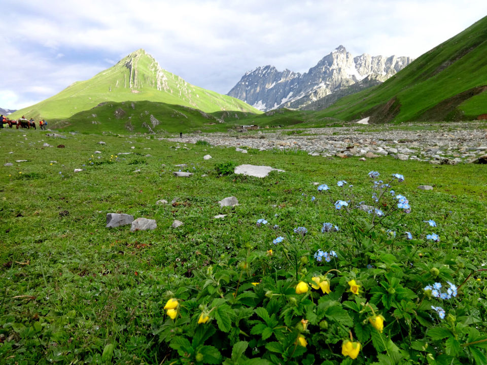 Photo of When I ditched the beaten path to explore the heart of Kashmir ‘on foot’ #kashmirinphotos by Diana Banik