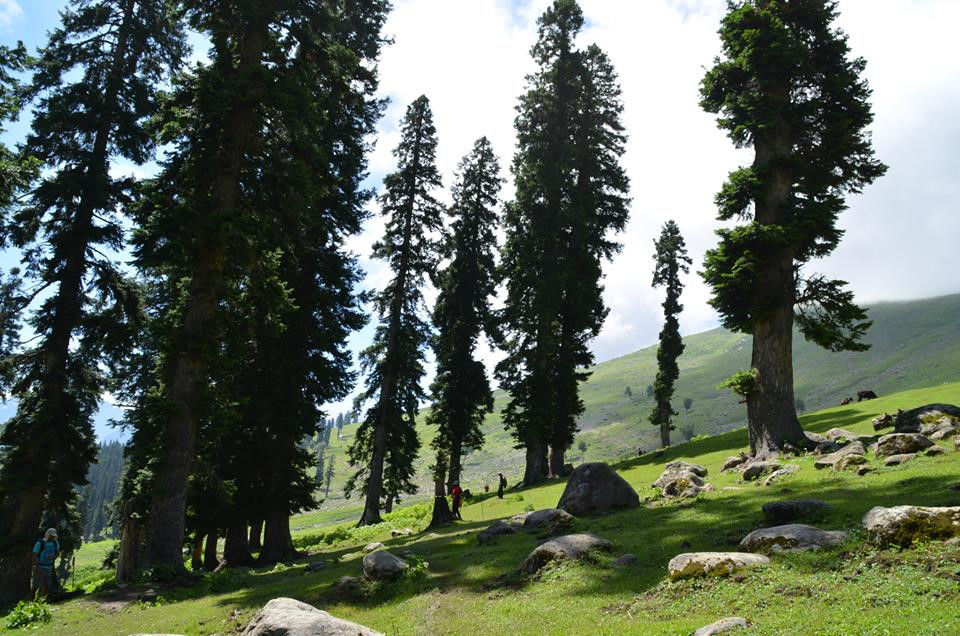 Photo of When I ditched the beaten path to explore the heart of Kashmir ‘on foot’ #kashmirinphotos by Diana Banik